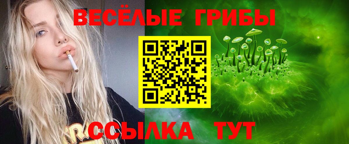 Галлюциногенные грибы Magic Shrooms  купить  сайты  Белово  Псилоцибиновые грибы Psilocybine cubensis  Вход с VPN 